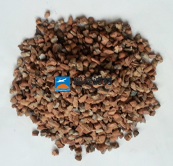 ���(y��ng)�����(y��)�r�����V��